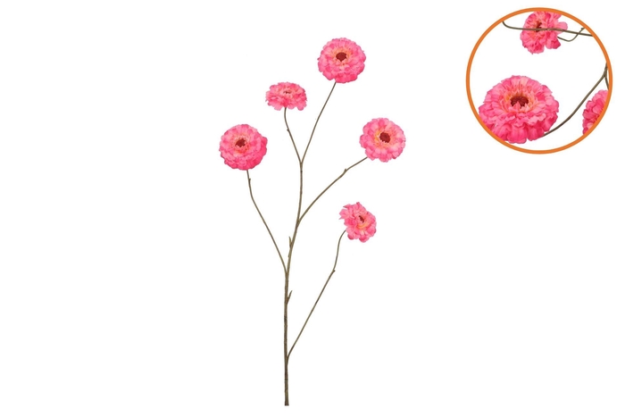 Silk Zinnia Fuchsia 106cm