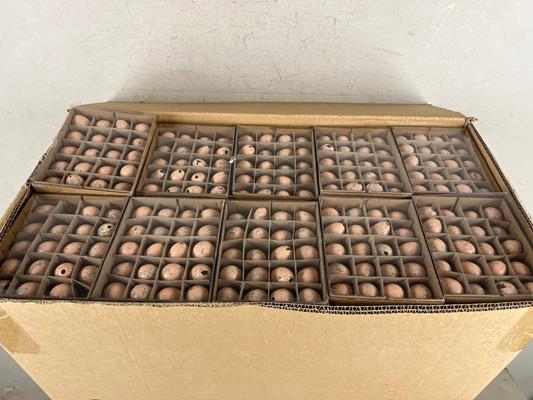 Egg Quail Orange Box(60pcs)