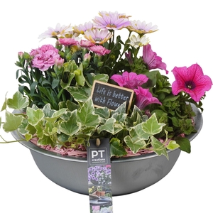 PTPP6859 Arrangement Patio in metalen schaal