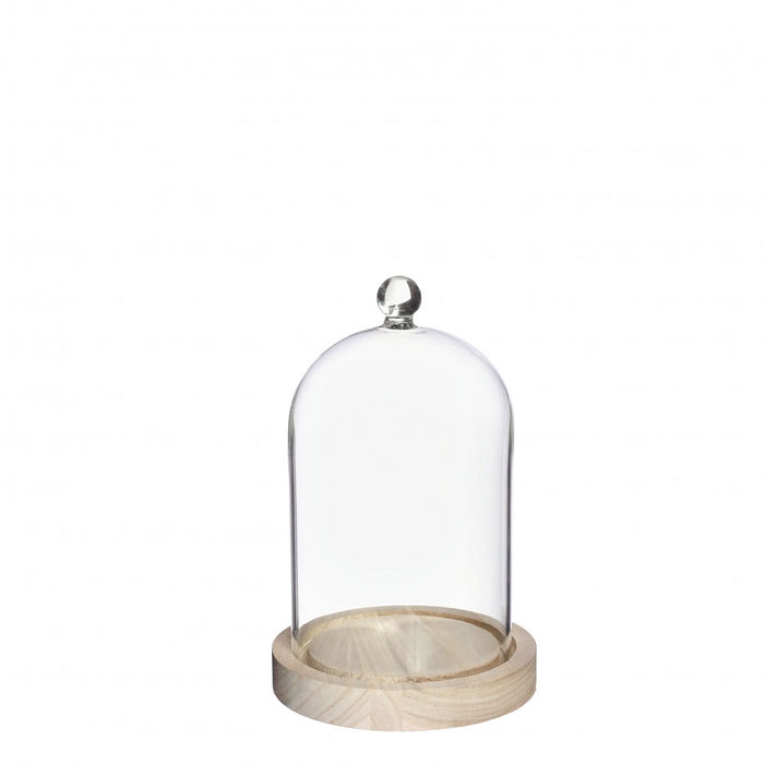 <h4>Glass Cloche knob+wood d12*18cm</h4>