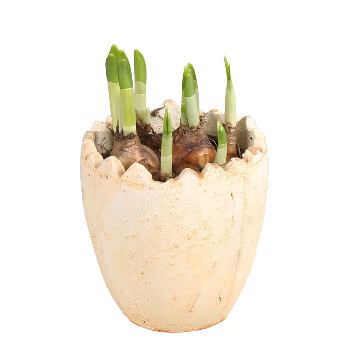 <h4>Easter Arr. Indoor Ceramic Half Egg Ø11cm 1PP</h4>