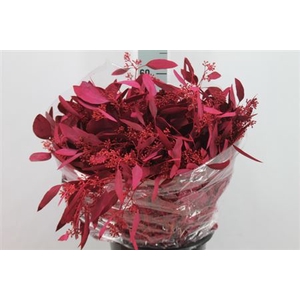 Euca Populus Bes Klb Raspberry 250 Gram