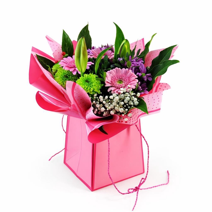 <h4>Aqua-Bulle Bieder in tas roze</h4>