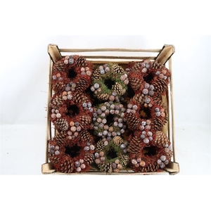 Wr Autumn Nature 20cm