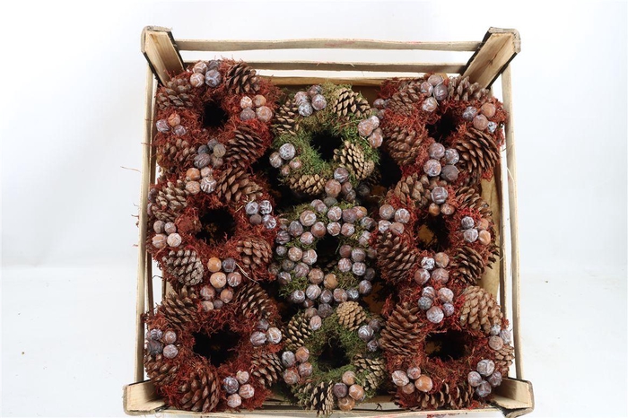 <h4>Wr Autumn Nature 20cm</h4>