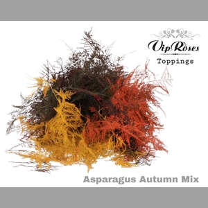 ASP OV 1E VEREN AUTUMN MIX