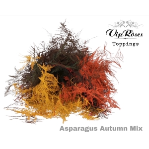 ASP OV EXTRA VEREN AUTUMN MIX