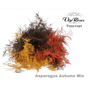 ASP OV 1E VEREN AUTUMN MIX