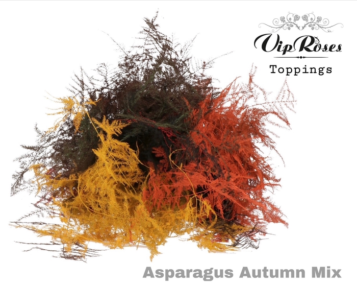 <h4>ASP OV EXTRA VEREN AUTUMN MIX</h4>