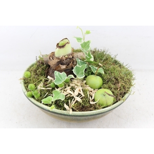 arr4 Amaryllis PL - Ker. schaal Sofie