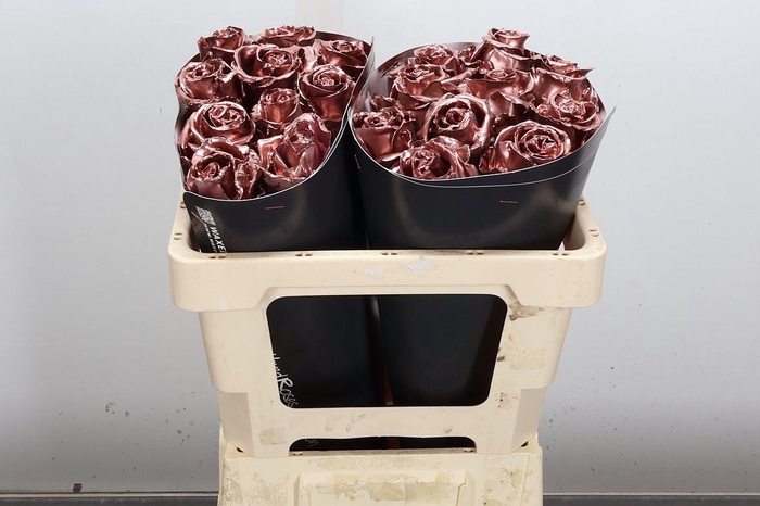 <h4>R Ov Wx 50cm Koper</h4>