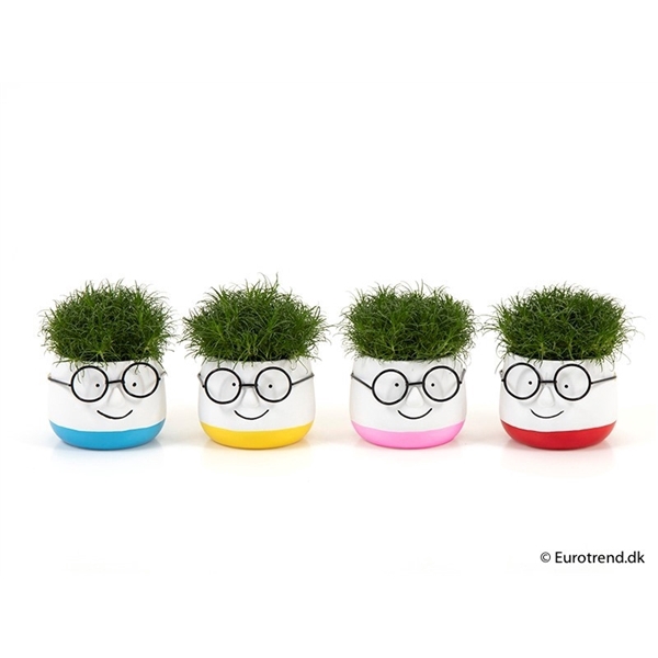<h4>Brille Smiley</h4>