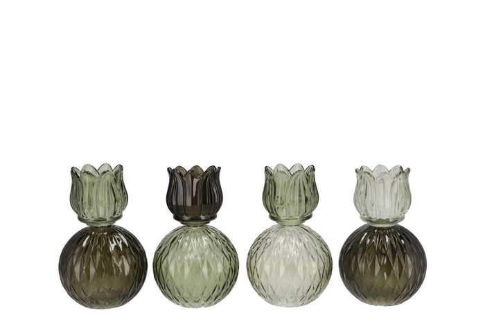 <h4>Bicolore Summer Green Mix Tulip T-light Ass 11x17cm</h4>