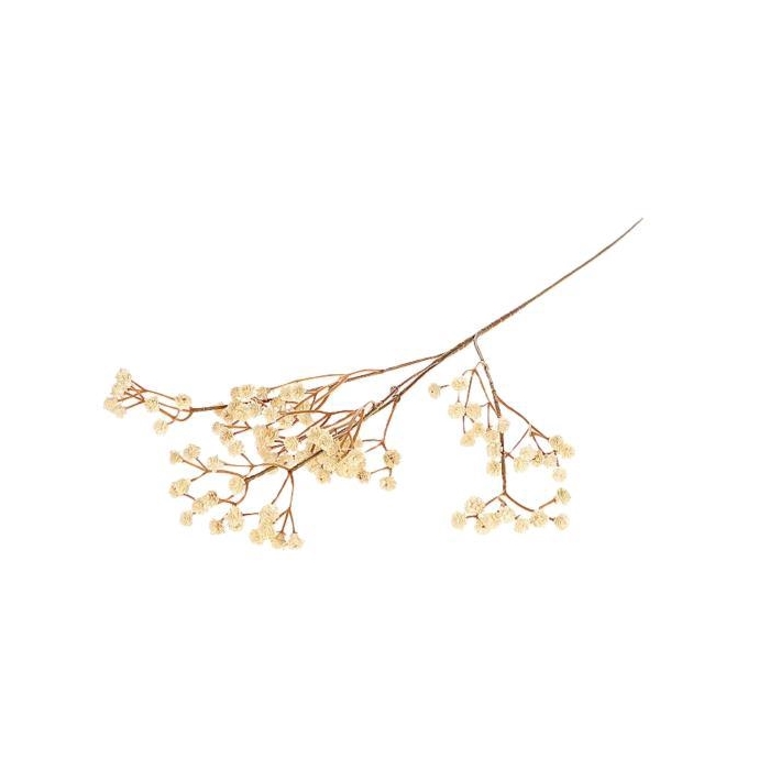 <h4>Branch Gypsophila L65</h4>