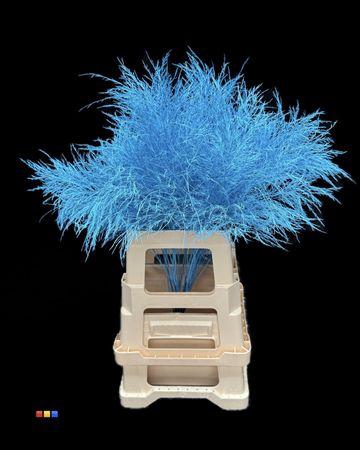 <h4>Treefern Turqoise</h4>