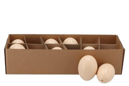 <h4>Eggs Goose Cream 6x8cm P/12</h4>