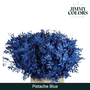 Pistache L50 Klbh. Blauw