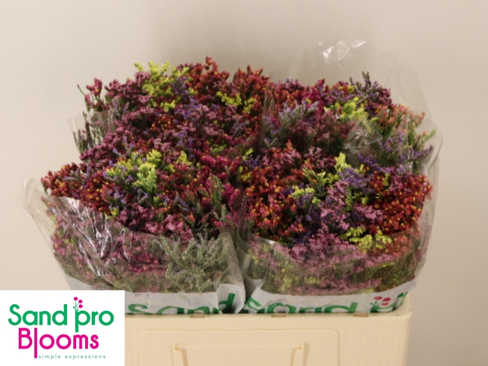 <h4>GEM ZOMERBOEKET</h4>