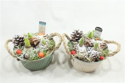 <h4>1136 ZINK ROND HYAC</h4>