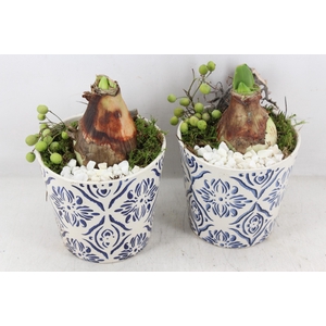 arr4 Amaryllis PL - Ker. pot delft blauw x3