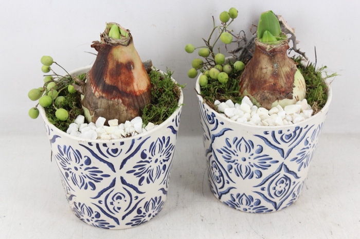 <h4>arr4 Amaryllis PL - Ker. pot delft blauw x3</h4>