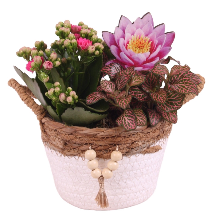 <h4>Opm Summer Arr. Indoor Willow Basket Round Beads</h4>