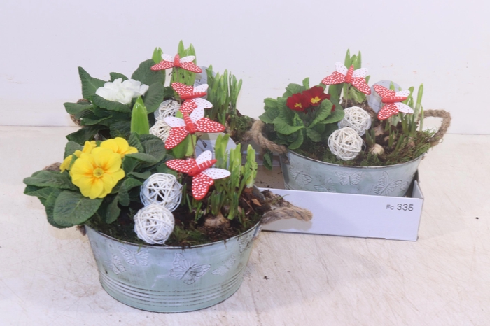 <h4>ARR TUINPLANTEN</h4>