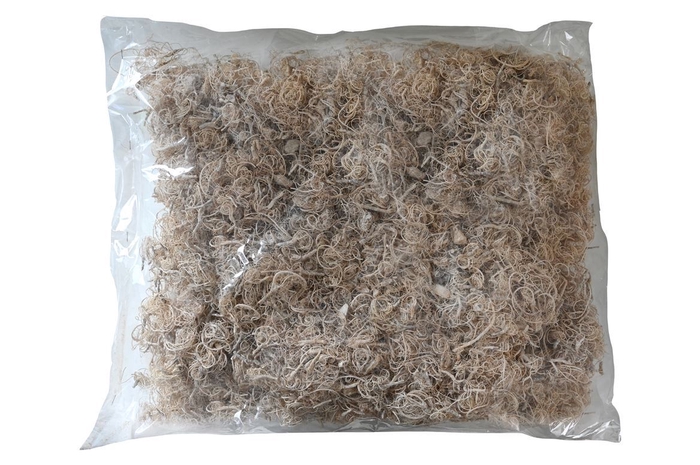 <h4>Moss Curly Moss Bleached 500gr</h4>