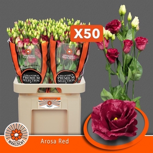Eus G Arosa Red