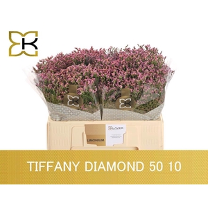 LIM SIN TIFFANY DIAM