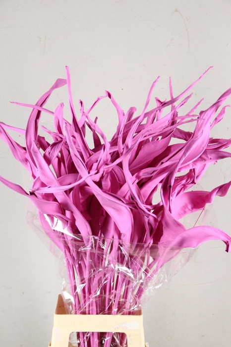 <h4>DF Strelitzia Leaf Pink</h4>
