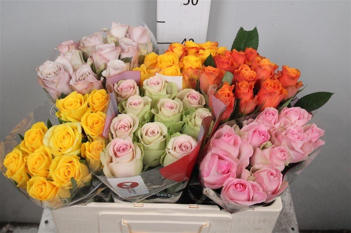 <h4>R Gr Gemengd In Fust</h4>