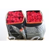 R Gr Special Mix Red