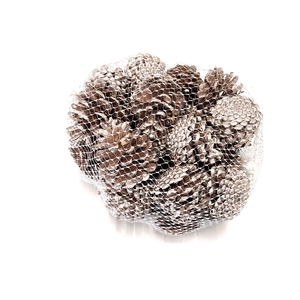Pine cone 500gr in net Champagne
