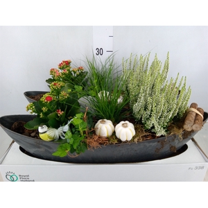 Arr.   Tuinplanten L%