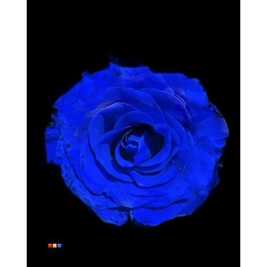R Gr Blue