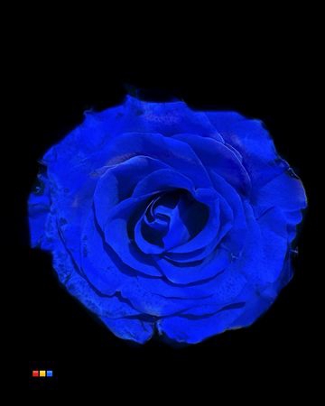 <h4>R Gr Blue</h4>