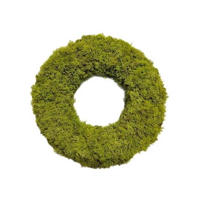 <h4>Wreath d40cm Reindeer moss</h4>