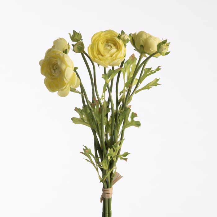 <h4>AF Ran Bnd x5 38cm raff Cream/</h4>