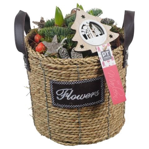 <h4>PTHCH6723 Arrangementen Hyacinthus</h4>
