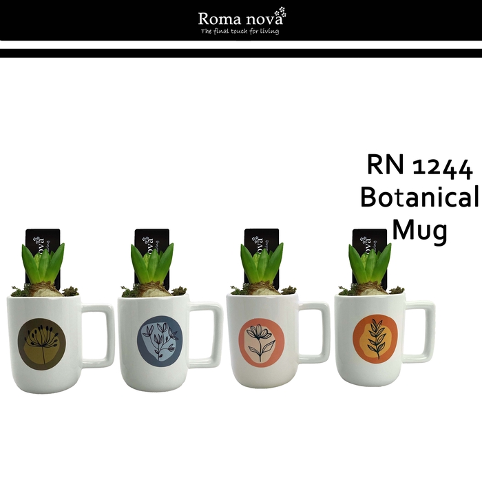 <h4>Hya Rom 1244 Botanical Mug</h4>