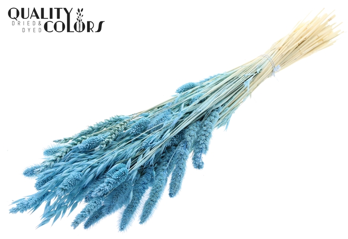 <h4>Dried Flower Mix bunch Bleached Frosted Light Blue</h4>