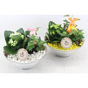 arr2 PL - Glas ribbel schaal x3 - geel/wit