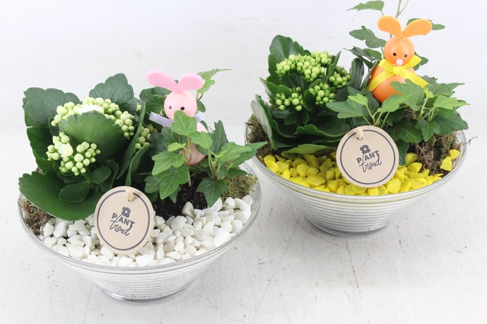 <h4>arr2 PL - Glas ribbel schaal x3 - geel/wit</h4>