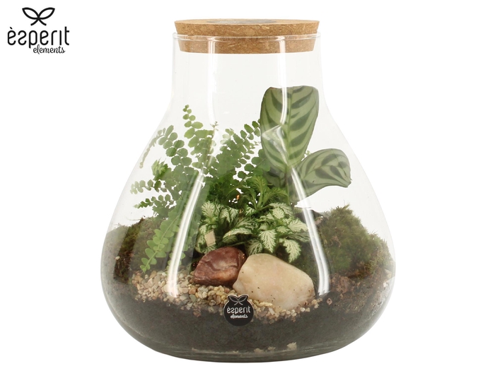 <h4>90078: Terrarium arrangement</h4>
