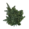 Abies nob. 400-500 g