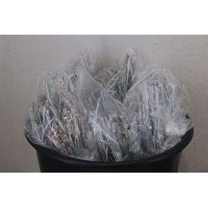 Dennen Naalden White