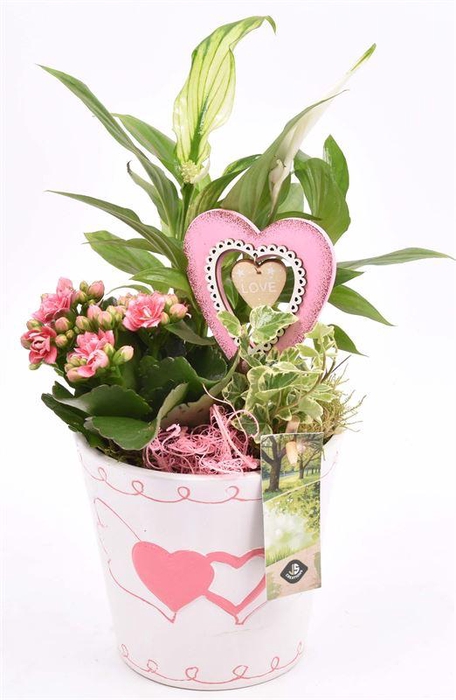 <h4>Keramiek pot met hart decor 13.5CM</h4>