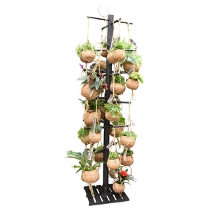 Kokodama Black Tree INCLUDING 48 best selling Kokodama's