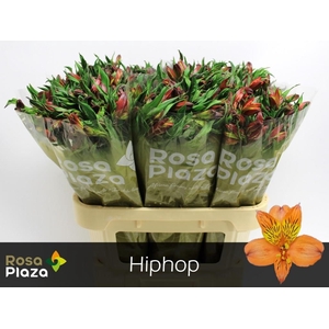 ALSTR HIPHOP